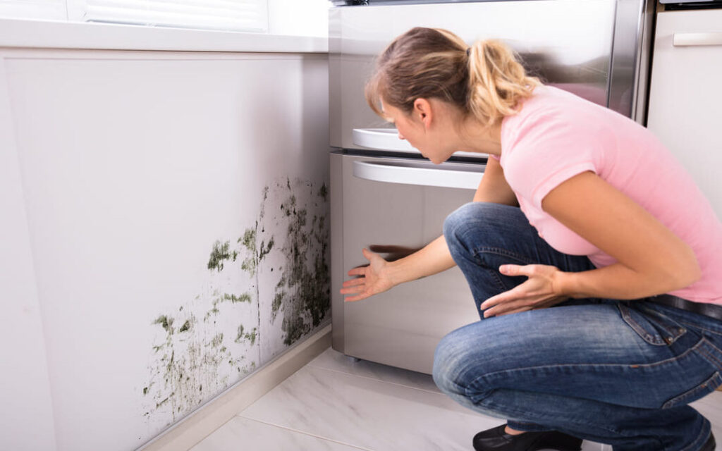 How to Sell Your Property with Mold in Dothan, AL